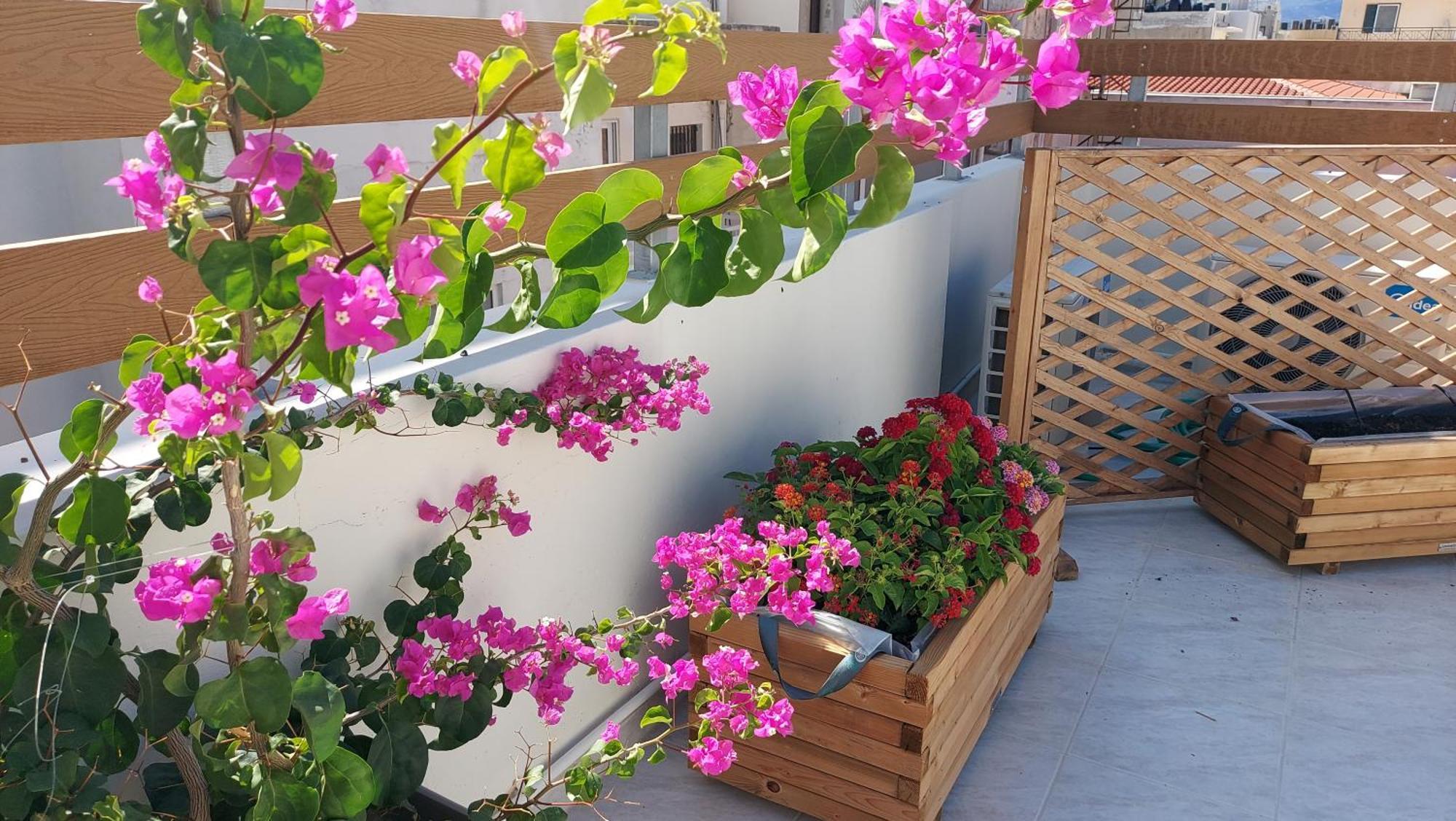 The Little Big Apartment In The Heart Of Heraklion Exteriör bild